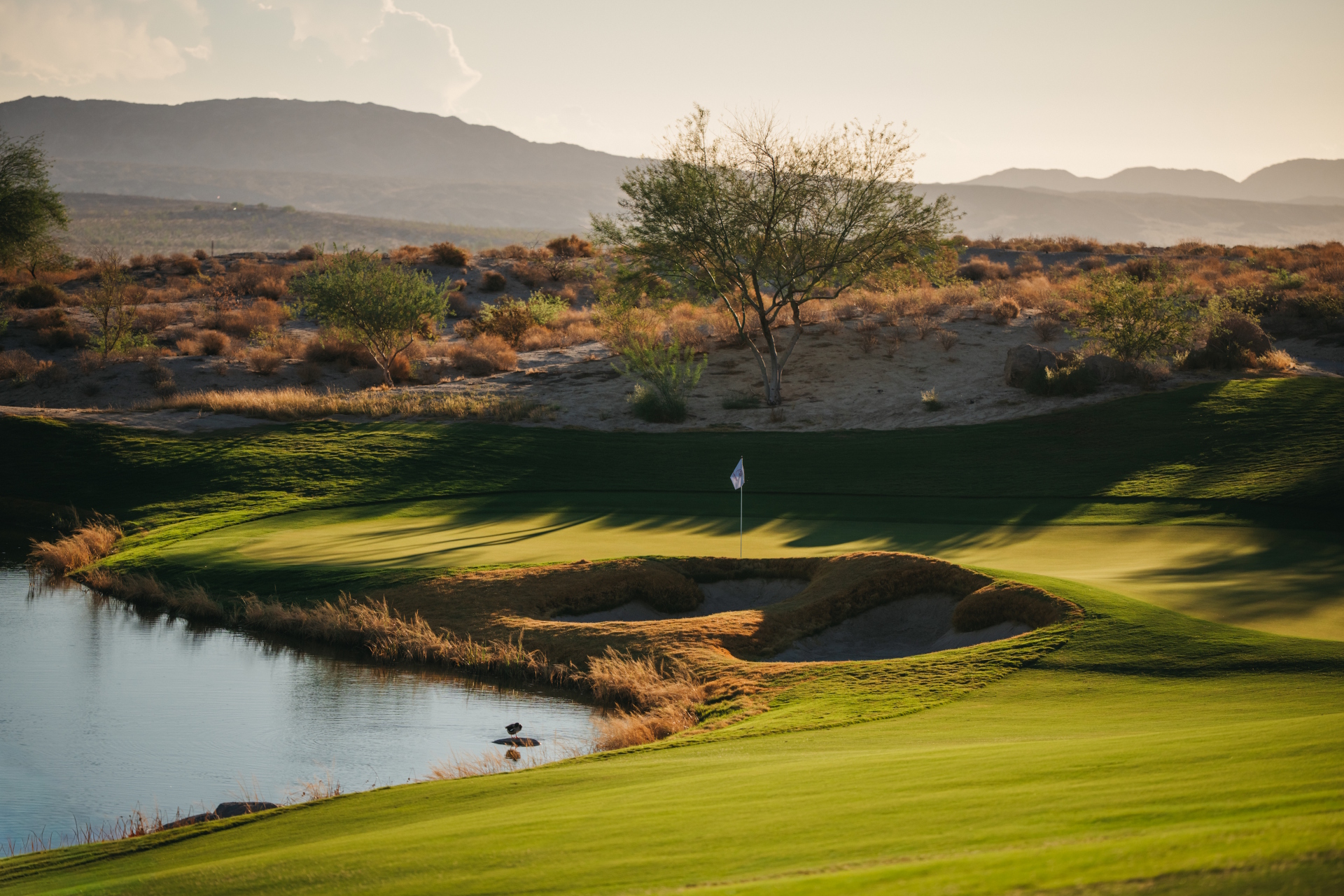 golf course